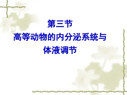 高等动物的内分泌系统与体液调节ppt 浙科版