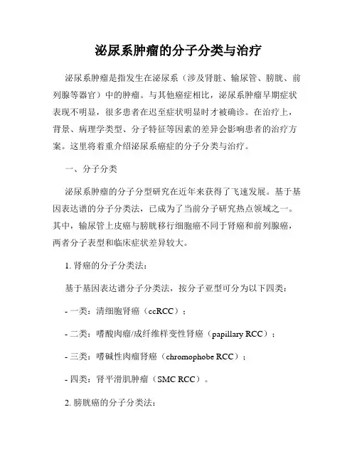 泌尿系肿瘤的分子分类与治疗