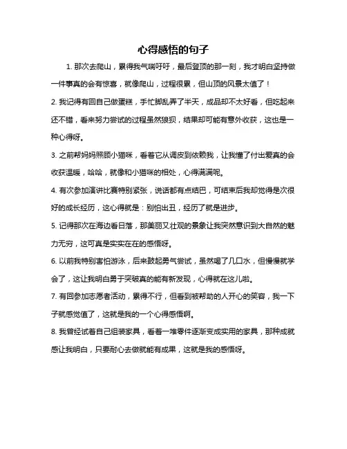 心得感悟的句子