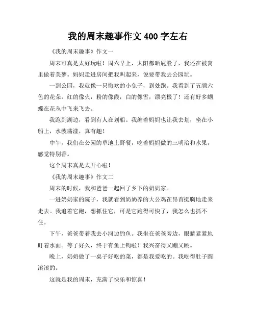 我的周末趣事作文400字左右