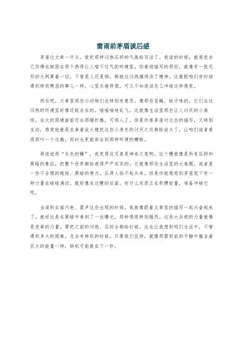 雷雨前茅盾读后感