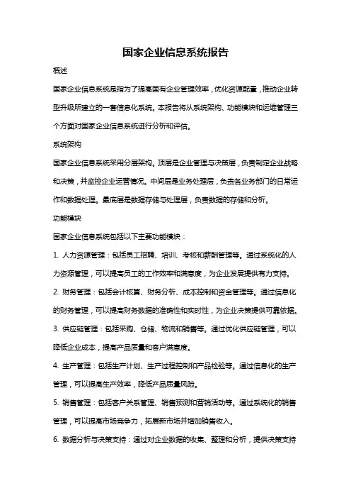 国家企业信息系统报告