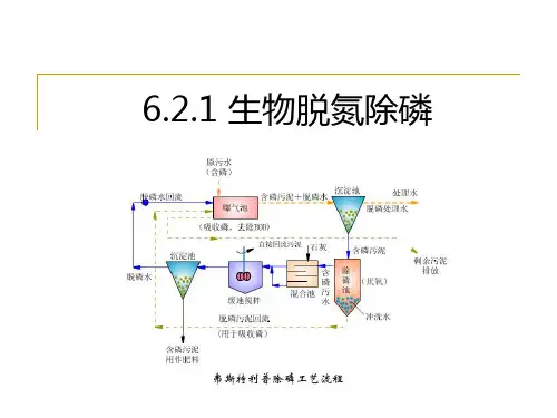 生物脱氮除磷