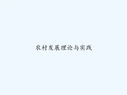 农村发展理论与实践 PPT