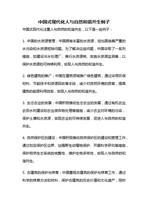 中国式现代化人与自然和谐共生例子