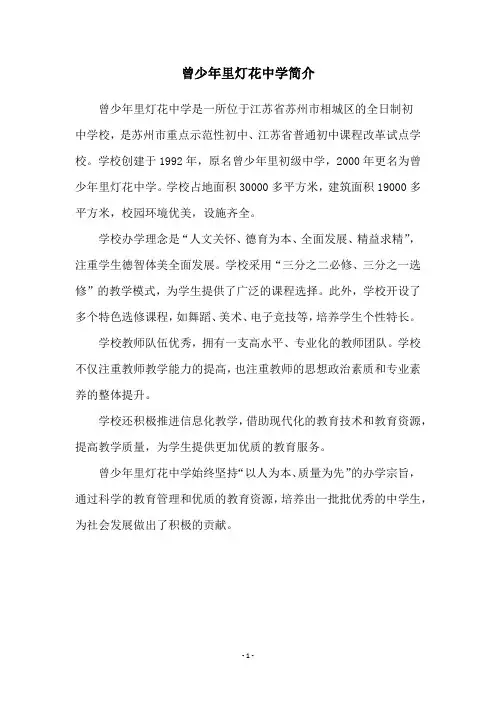 曾少年里灯花中学简介