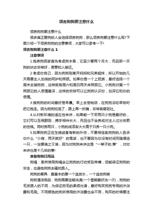 领养狗狗要注意什么