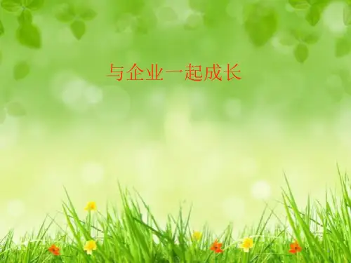 个人与企业共同成长ppt课件