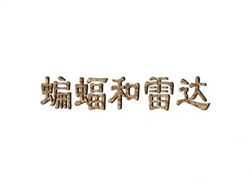 11蝙蝠和雷达