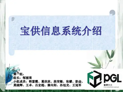 宝供信息化建设PPT(2班)