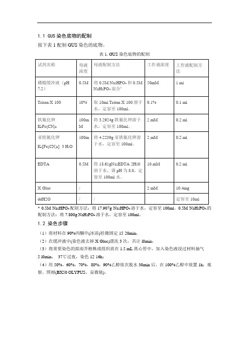 GUS步骤