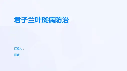 君子兰叶斑病防治