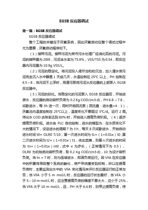 EGSB反应器调试
