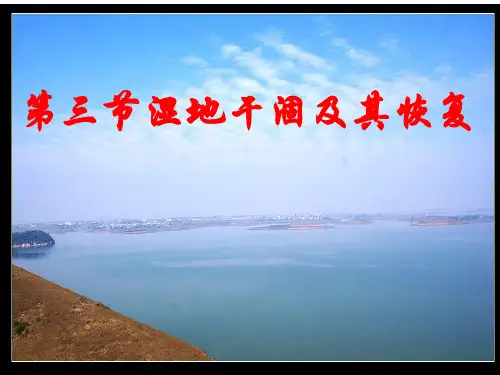 人教版高中地理选修6《环境保护》第四章第三节《湿地干涸及其恢复》优质课件(共29张PPT)