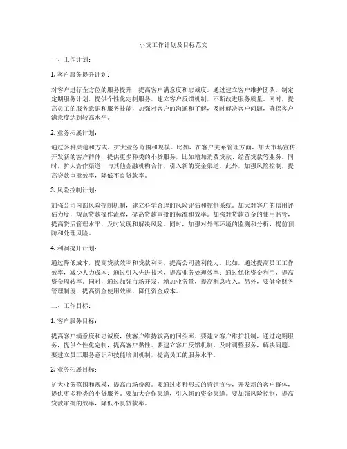 小贷工作计划及目标范文