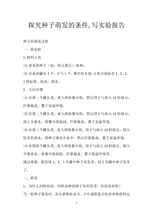 探究种子萌发的条件,写实验报告