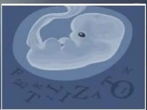 2010诺贝尔生理学或医学奖