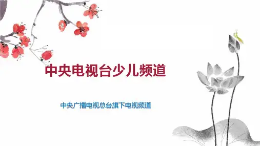 中央电视台少儿频道