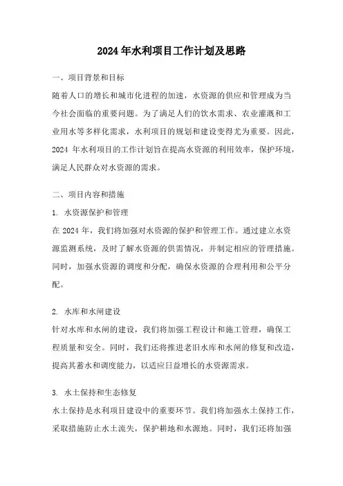 2024年水利项目工作计划及思路