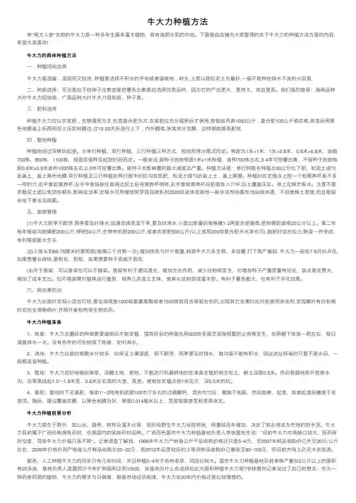 牛大力种植方法
