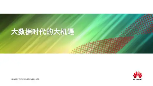 2020年(华为)大数据时代的大机遇v25246参考模板