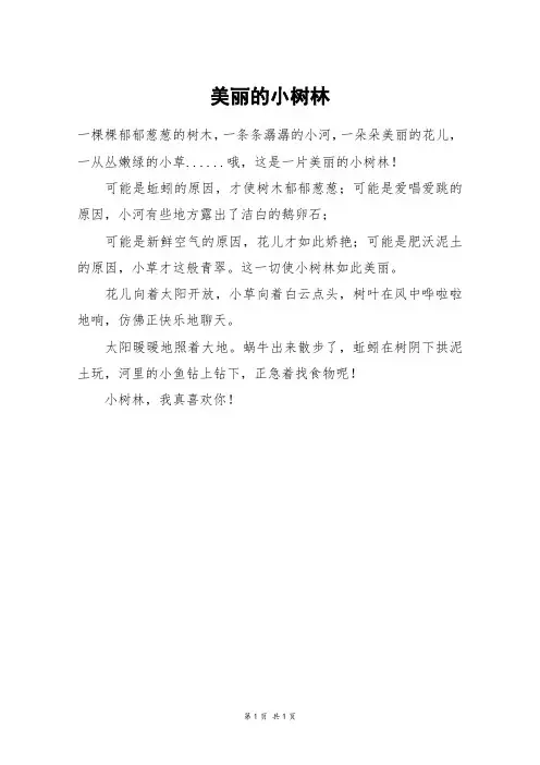 美丽的小树林_二年级作文