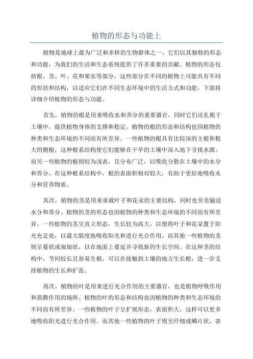 植物的形态与功能上