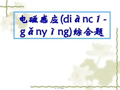 高考物理二轮专题复习 电磁感应综合题 课件