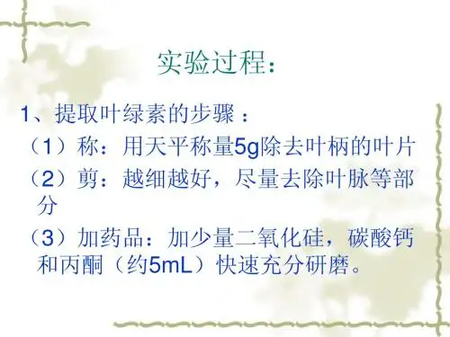 色素的提取和分离