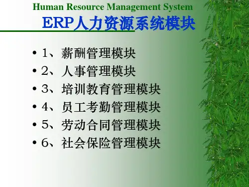 ERP系统人力资源模块需求模板