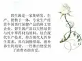 碧生源减肥茶推广