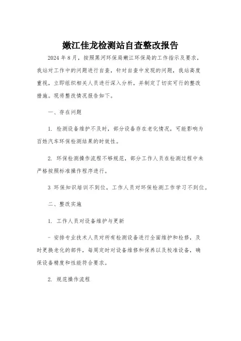 嫩江佳龙检测站自查整改报告