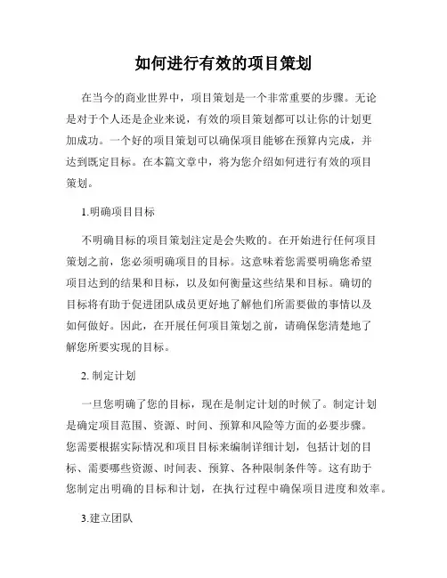 如何进行有效的项目策划