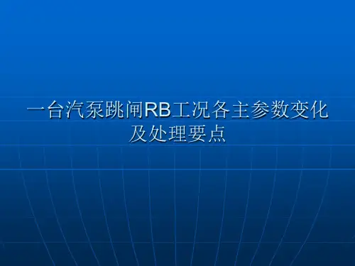 一台汽泵跳闸RB工况各主参数变化及处理要点