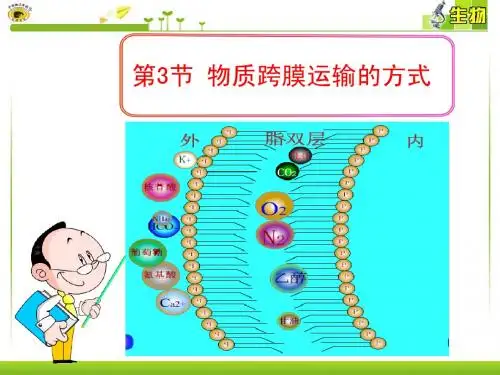 第3节_物质跨膜运输的方式
