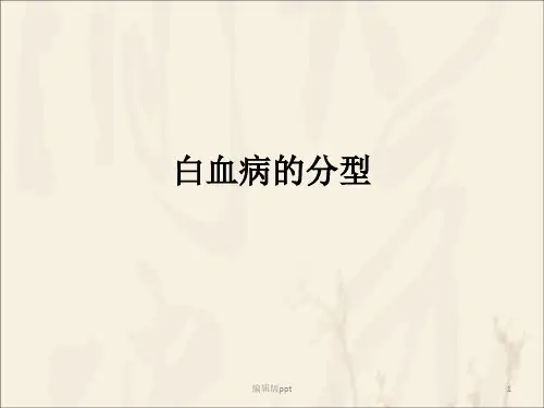 白血病的分型医学PPT