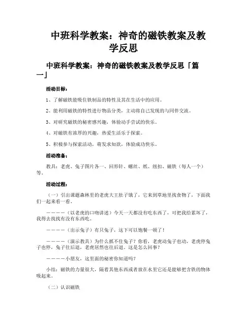 中班科学教案神奇的磁铁教案及教学反思