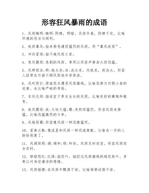 形容狂风暴雨的成语