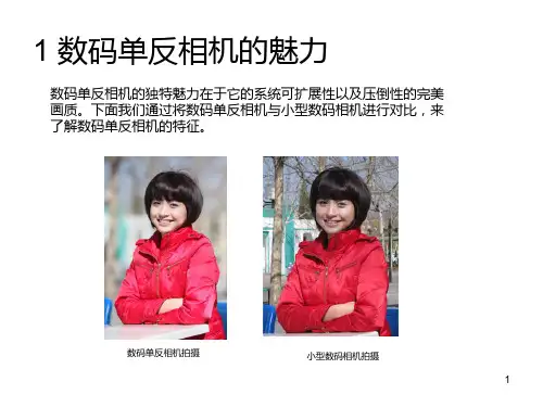 数码单反相机教程PPT课件