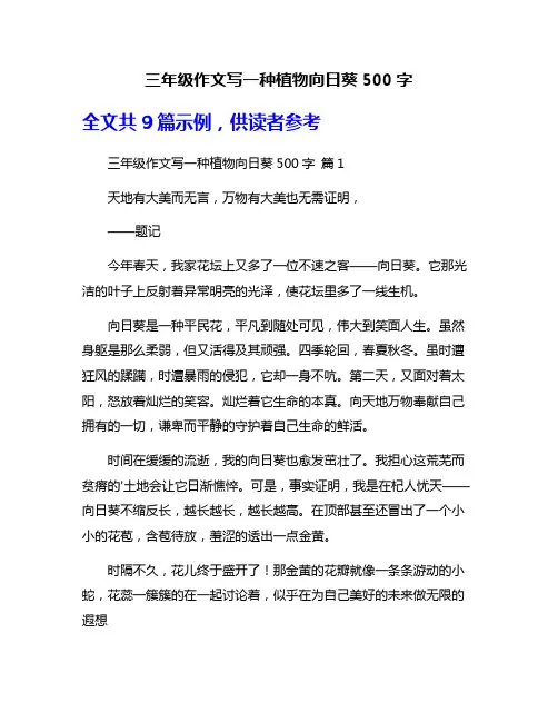 三年级作文写一种植物向日葵500字