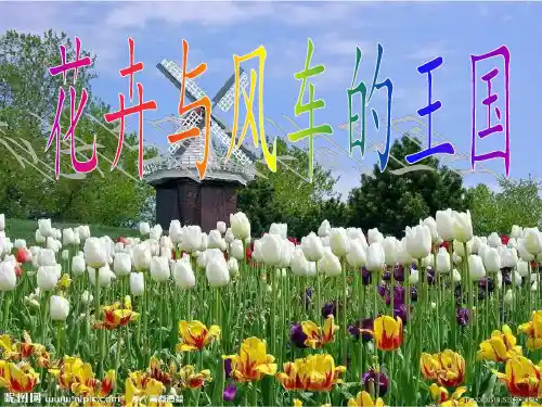 荷兰介绍-课件(PPT演示)