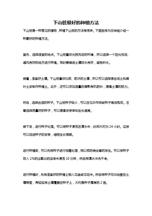 下山桩最好的种植方法