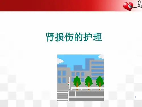 肾损伤PPT参考课件