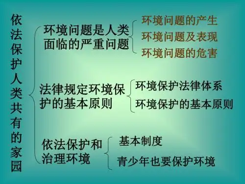 初一政治上学期依法保护人类共有的家园(教学课件201908)