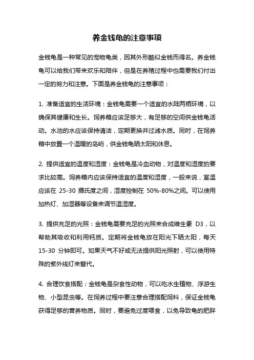 养金钱龟的注意事项