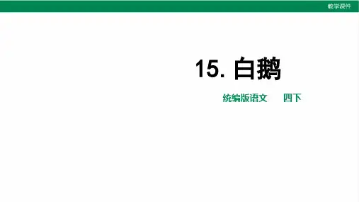 部编版小学语文四年级下册《白鹅》第二课时教学课件