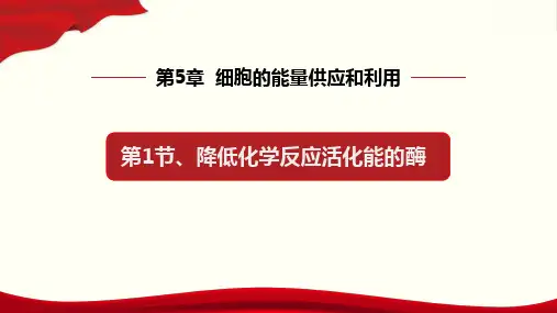 酶的作用和本质 课件-高一生物人教版必修1