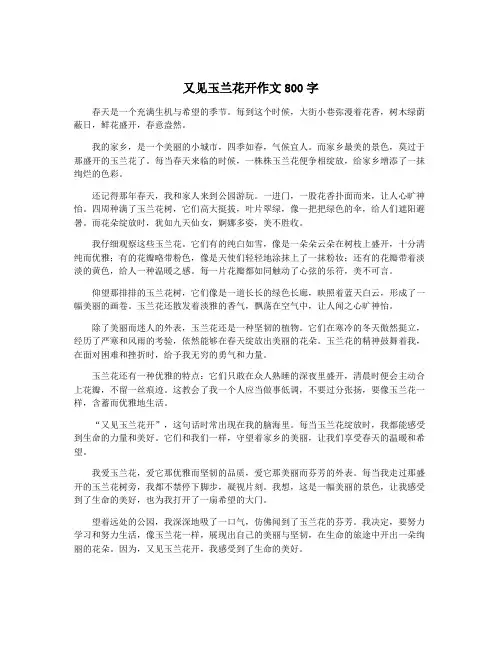 又见玉兰花开作文800字