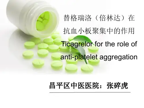 替格瑞洛讲座