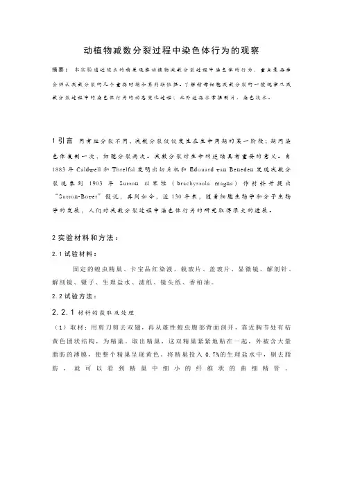 动植物减数分裂过程中染色体行为的观察